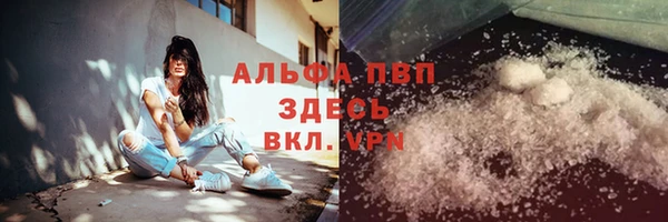 сатива Баксан