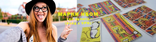 сатива Баксан