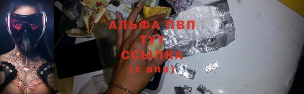 сатива Баксан