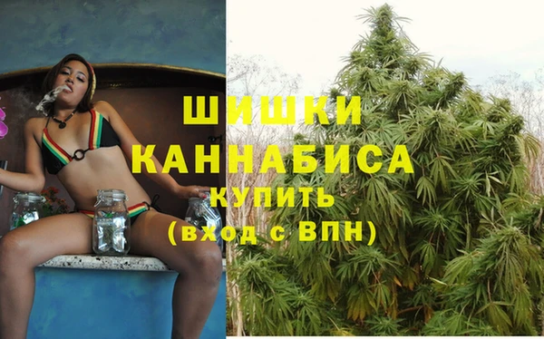 сатива Баксан