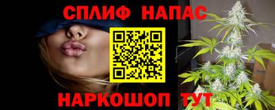 СК Камышлов