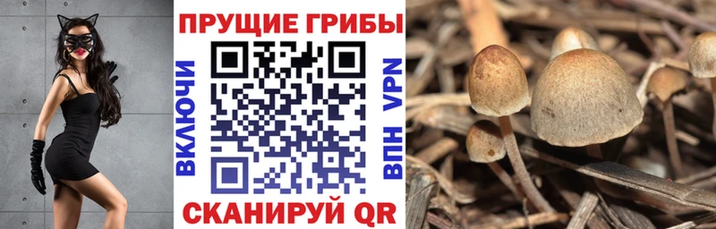 что такое наркотик  Нерюнгри  Псилоцибиновые грибы MAGIC MUSHROOMS 