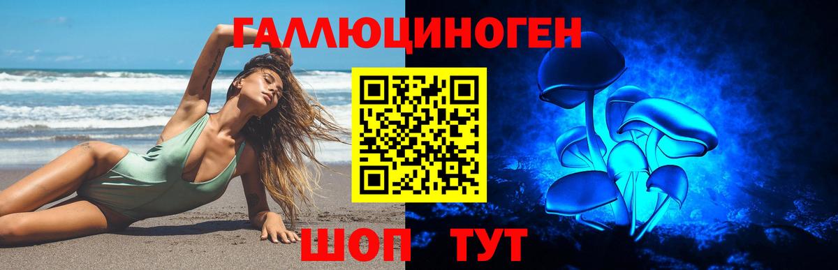 Нерюнгри  Галлюциногенные грибы Psilocybine cubensis  Вход с VPN 